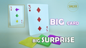 BIG CARD - BIG SUPRISE | Sorcier