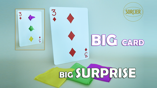 BIG CARD - BIG SUPRISE | Sorcier