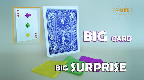 BIG CARD - BIG SUPRISE | Sorcier