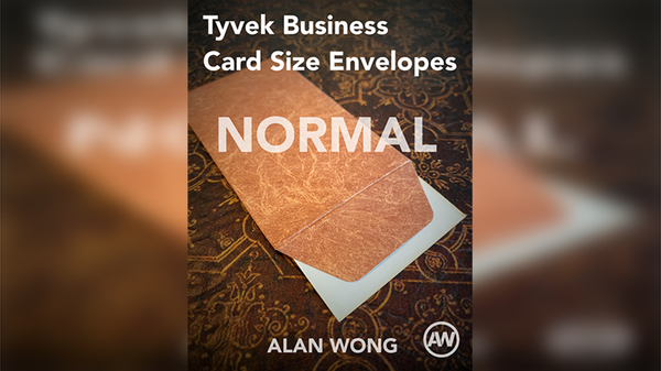 Tyvek Business Card Size Envelopes (10 pk.) | Alan Wong