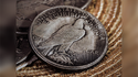 CS Peace Dollar (replicas) | N2G