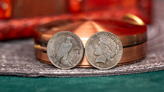 Mini Peace Dollar (Pack of 5 coins) | N2G