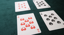 Akita Playing Cards | Blue Moon Co