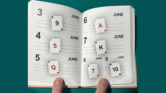 LS Diary | Leo Smetsers
