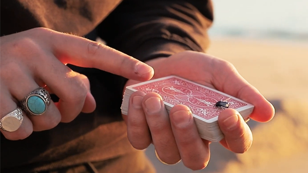 The FLY LITE | Marcos Waldemar & Invisible Compass