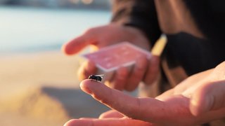 The FLY LITE | Marcos Waldemar & Invisible Compass