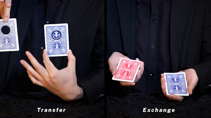 The Card Craftsman | John Cheung & Amor Magic