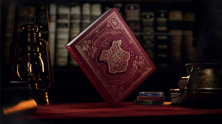 Harry Potter Box Sets | theory11