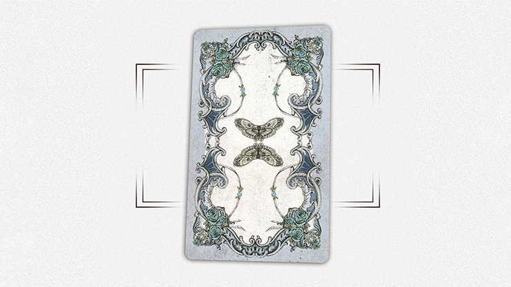 House | the Window (Collectors Edition) Tarot Deck