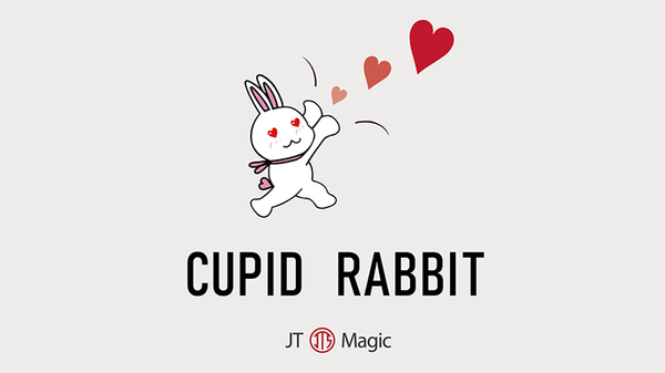 Cupid Rabbit | JT