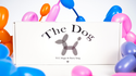 The Dog | TCC Magic & Harry Yang