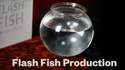 Flash Fish Production | LT Magic