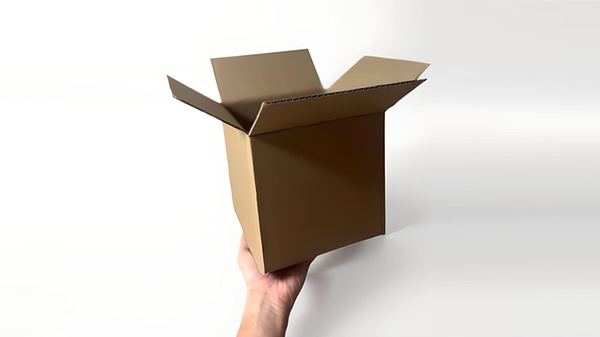 Examinable Box | Blake Vogt