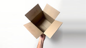 Examinable Box | Blake Vogt