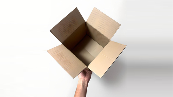 Examinable Box | Blake Vogt