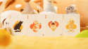 Cat & Dog Playing Cards | TCC Fashion