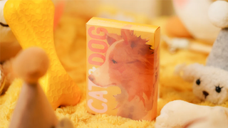 Cat & Dog Playing Cards | TCC Fashion