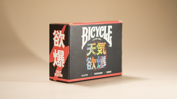 Bicycle Chilly Weather Blind Pack (Half Brick) Playing Cards