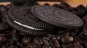 Oreo Shell Set | N2G