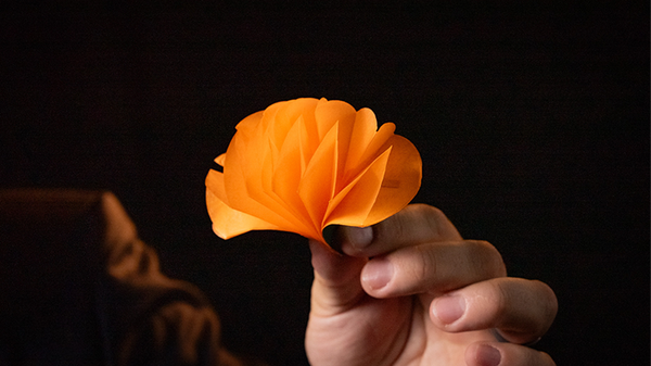 SPRING FLOWERS (2 PK PAPER) | Murphy's Magic