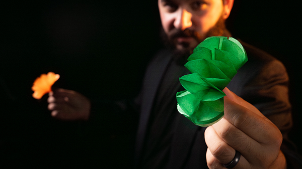 SPRING FLOWERS (2 PK PAPER) | Murphy's Magic