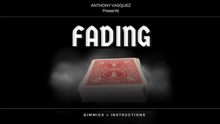 Fading (Red) | Anthony Vasquez