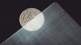 Transparent Matrix (Half Dollar) 2024 | Richard Mo
