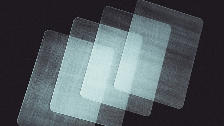 Transparent Matrix (Half Dollar) 2024 | Richard Mo