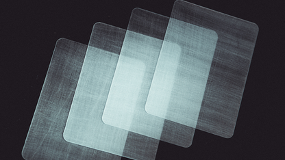 Transparent Matrix (Half Dollar) 2024 | Richard Mo