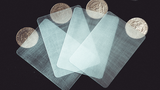 Transparent Matrix (Half Dollar) 2024 | Richard Mo