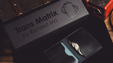 Transparent Matrix (Half Dollar) 2024 | Richard Mo