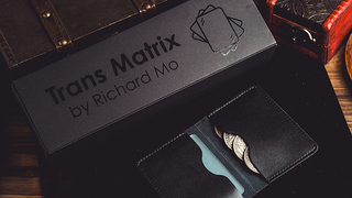 Transparent Matrix (Half Dollar) 2024 | Richard Mo