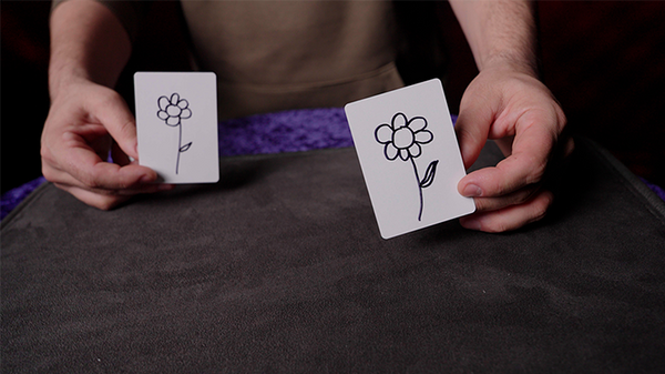 Blank Vision | Giovanni Cricchio