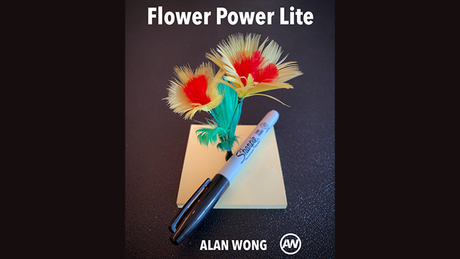FLOWER POWER LITE | Alan Wong