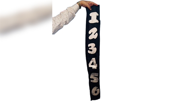 Jumbled Numbers | The Essel Magic