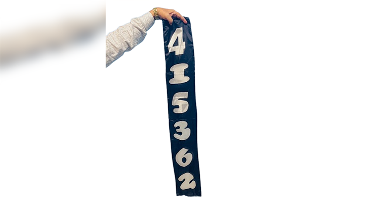 Jumbled Numbers | The Essel Magic