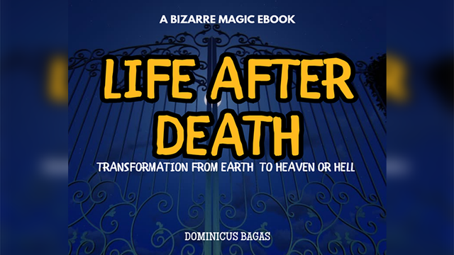 Life After Death | Dominicus Bagas - (Download)