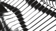 Modulo | Fraser Parker