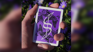 Dream of Butterflies | YD Cards