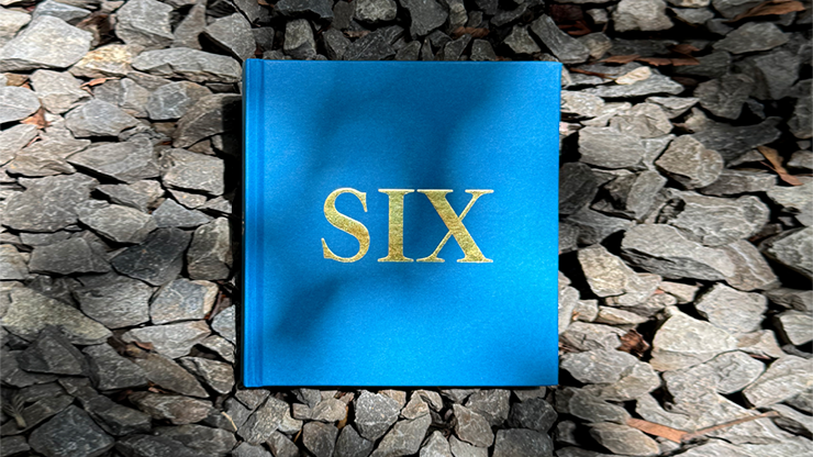 6 (LIMITED) | Dani DaOrtiz