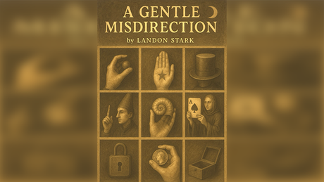 A Gentle Misdirection | Landon Stark - (Download)