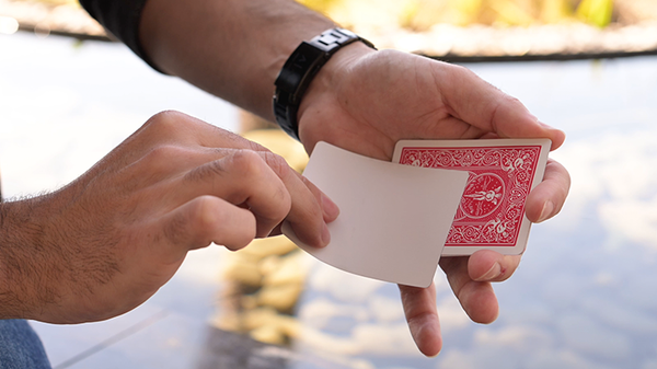 Kid Canvas | Adrian Vega