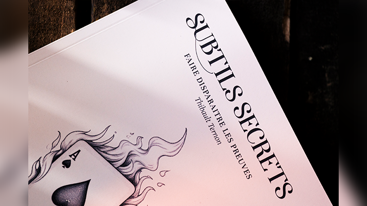 Subtle Secrets 1 | Thibault Ternon