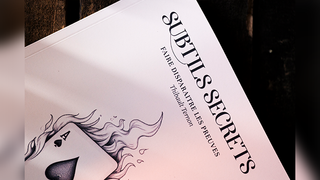 Subtle Secrets 1 | Thibault Ternon