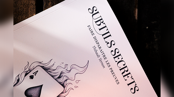 Subtle Secrets 1 | Thibault Ternon