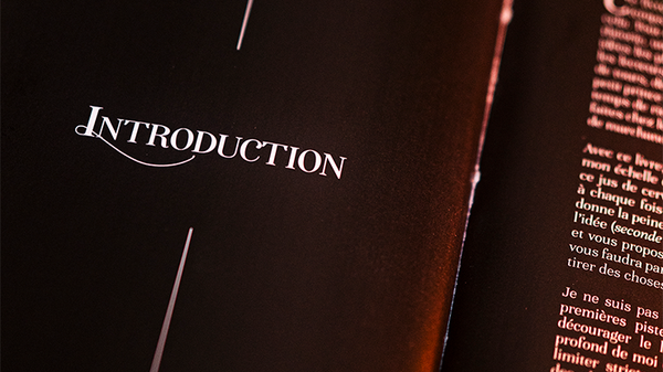 Subtle Secrets 1 | Thibault Ternon