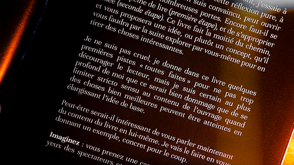 Subtle Secrets 1 | Thibault Ternon