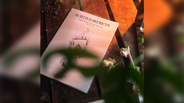 Subtle Secrets 1 | Thibault Ternon
