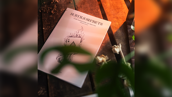 Subtle Secrets 1 | Thibault Ternon