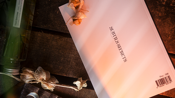 Subtle Secrets 1 | Thibault Ternon